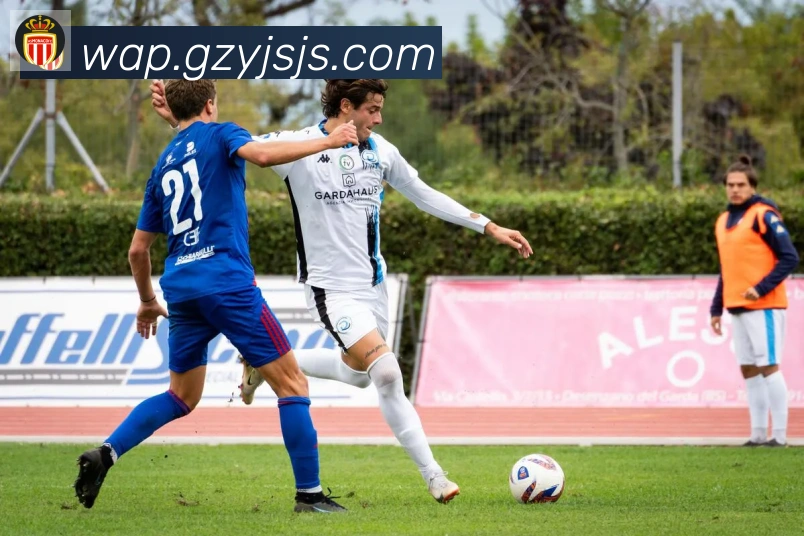 App Interface Preview